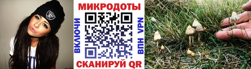 дарнет шоп даркнет формула blacksprut tor Псилоцибиновые грибы MAGIC MUSHROOMS Задонск